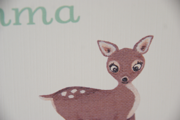 geboortekaartje emma lichtgroen